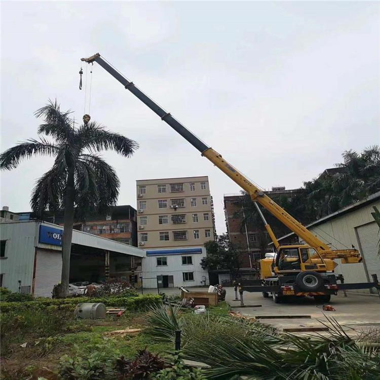 乐业吊车吊大树几种方法